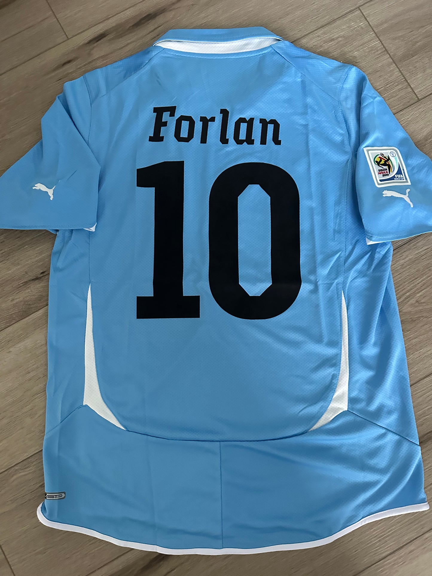 Uruguay 2010 Diego Forlan #10 Retro Soccer Jersey Fifa world cup Blue Men Size