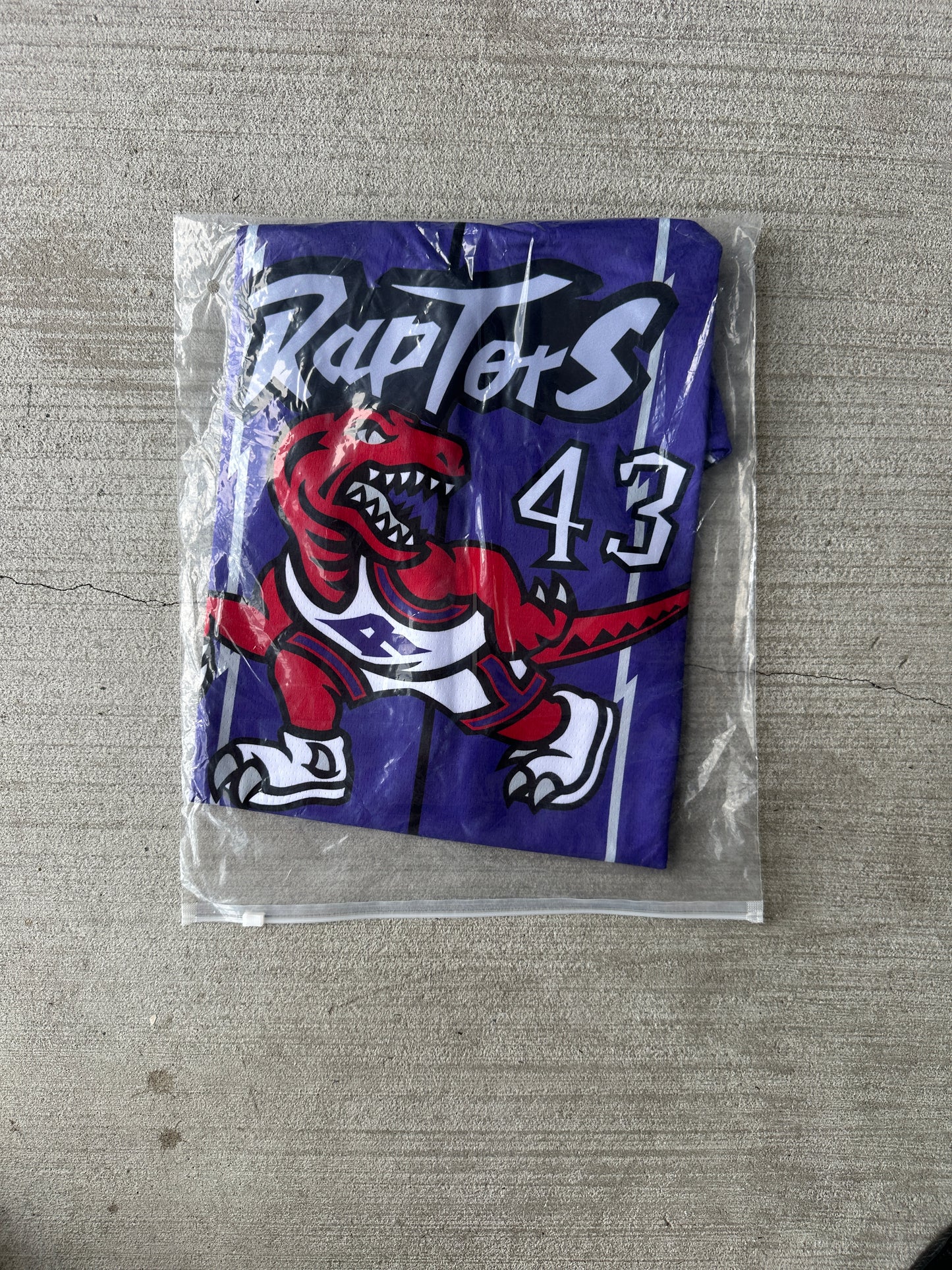 Raptors Purple Siakam #43 Basketball Jersey