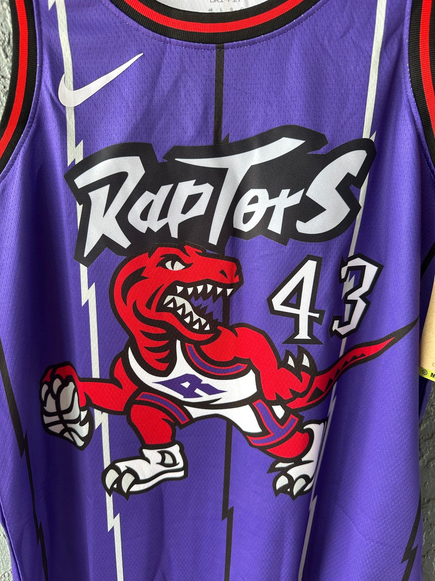 Raptors Purple Siakam #43 Basketball Jersey