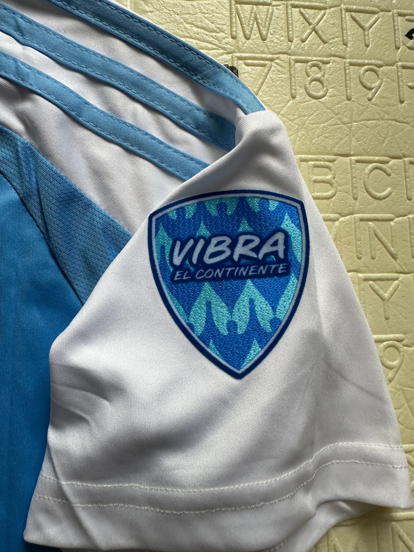 Argentina Lionel Messi #10 Soccer Jersey 2024 Final Cup Home Blue Men Size Shirt